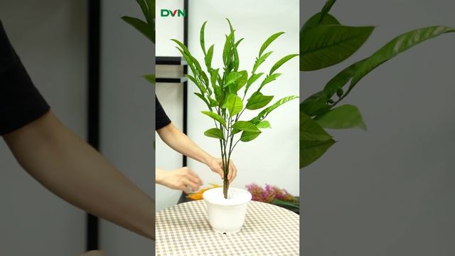 [DVN] - Hướng Dẫn Cắm Chậu Cây Với Cành điểm Nhân Tạo Chỉ Mất Chưa đầy 5 Phút