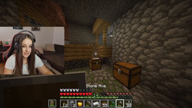 Minecraft, ALI BLOKOVI SU OGROMNI...
