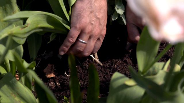 C5c5e3203ac1ecc11fe8377d40f6a843