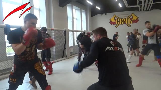 Начало подготовки к проф дебюту по ММА | Открытие нового клуба СЕЧЬ | Sech Pro | Проект Метаморфоза