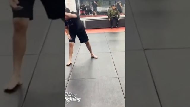 Диаз показывает класс в джиу-джитсу!#ufc #mma #бои #мма #юфс #нейтдиаз