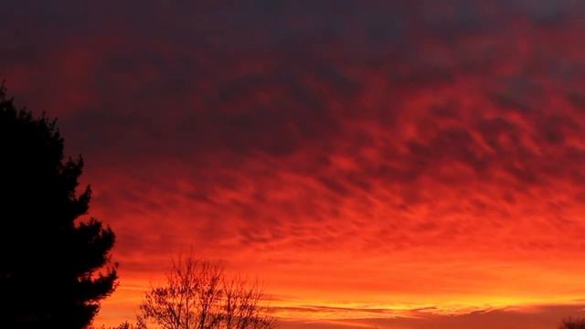 ДУШЕРАЗДИРАЮЩАЯ  МУЗЫКА ДО  СЛЕЗ.