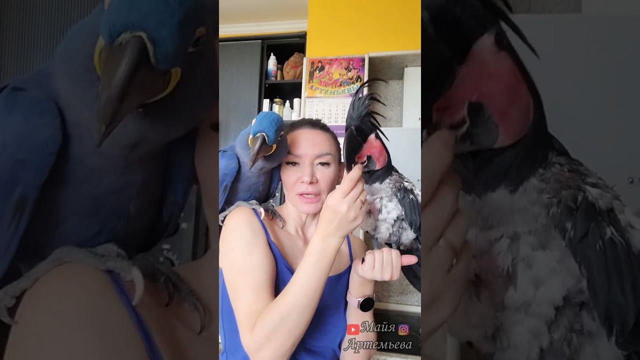 A0e65b8b142d1408a8b45071069a0d7b