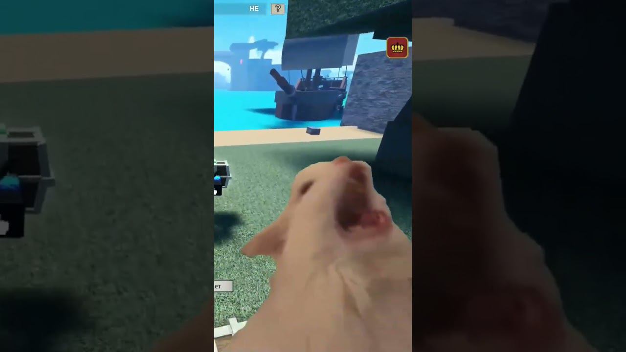 меня бьют. памагити.... #роблокс #roblox #seaofthieves #мемы
