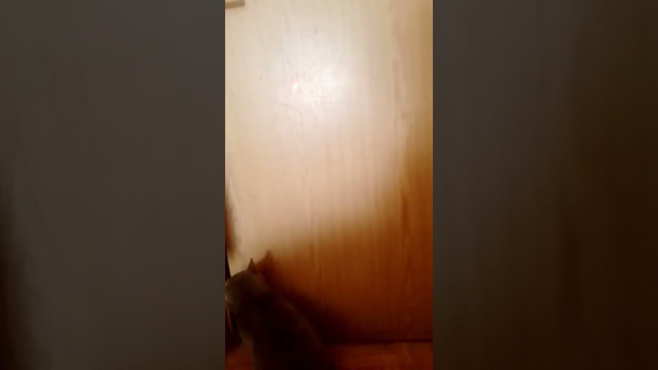 16671614e36d33108e4591ab8ae756b3