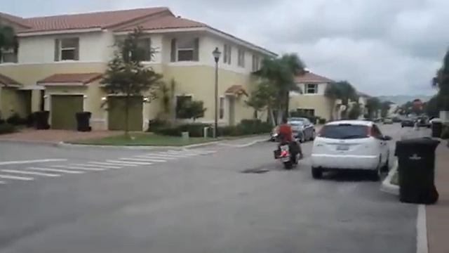 Papai E Sophia Na Suzuki