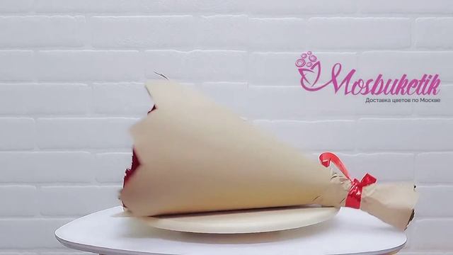 B934c03506a69bab21cd1381e0a493d1