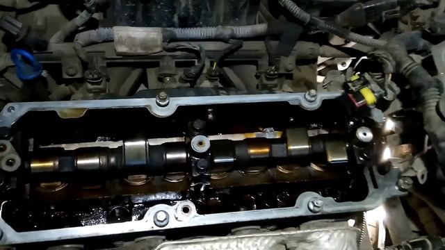 Лесные грибные находки