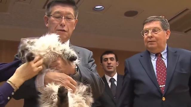 16 января 2023 г.