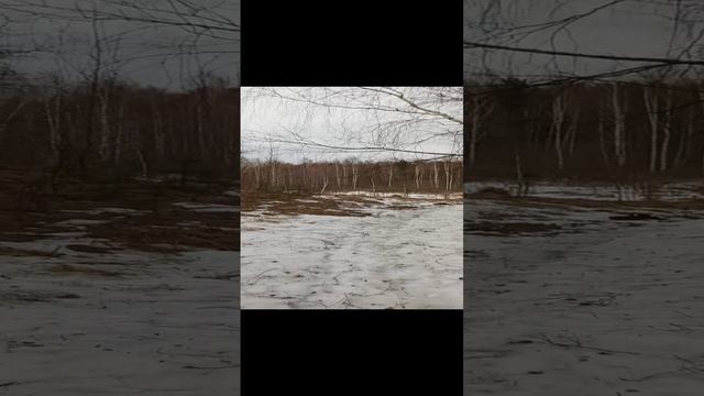 940c7643de4bf823f98d1a469af8b1a4