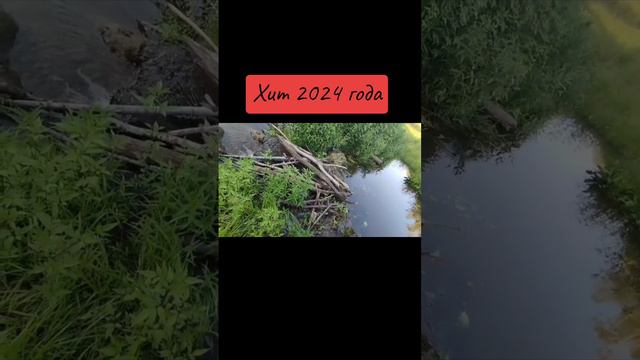 0bbc344cec50af864501e78646660660