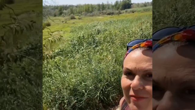 Путешествие LIFEforWOOD по Астраханской области часть3