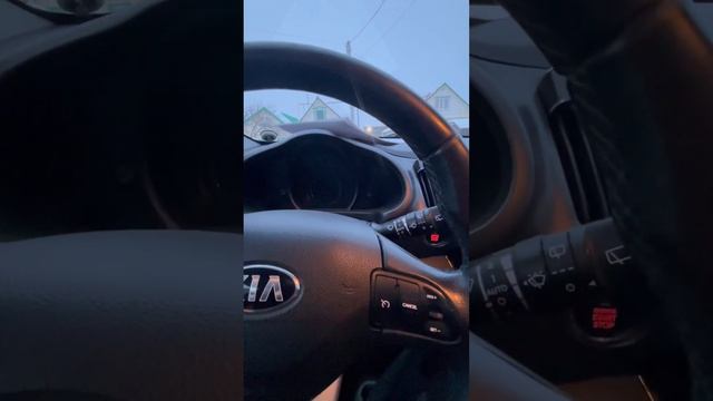 Заливные удивительности