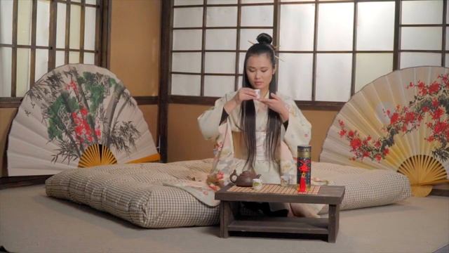 Футон  Shikima Шикима