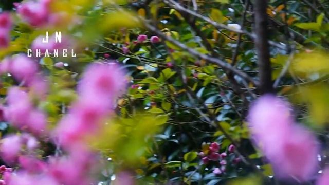 8e1a4dcb46c62cd5400222e8d8164189