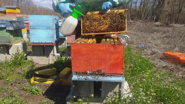 Stavite 2 Kg Vode, 1 Kg šećera I 50 Ml Joda I Učinite To Na Pčelama Preverzivno Protiv Nozemoze