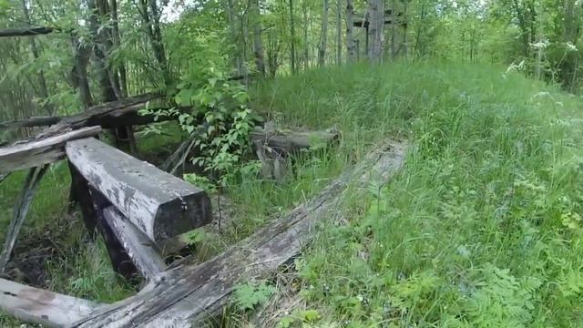 ВЗЯЛ МД И СХОДИЛ С ЖЕНОЙ ПРОГУЛЯЛСЯ, УЖАС ВСЕ ЗАРОСЛО $$$$ КОП ЖЕЛЕЗА  МД-4080