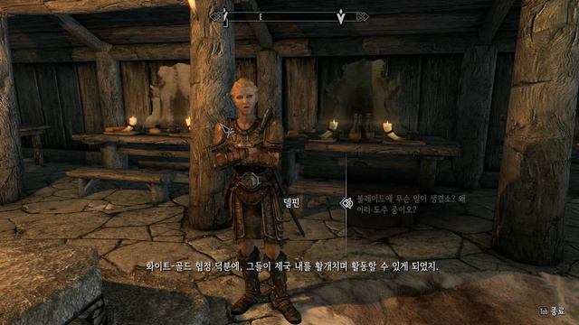 The Elder Scrolls V Skyrim SE : 스카이림 여행기 #45 델핀에게 보고하기