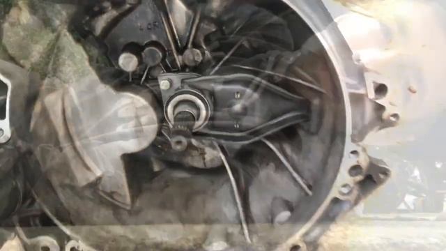 Ремонтные приключения: Откройте новые грани дизайна