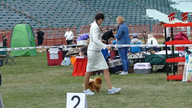 E1af76c8d853fd18f40ef996c10be990