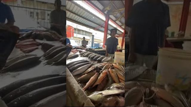 Сейшелы. Seychelles. 塞舌尔。 113