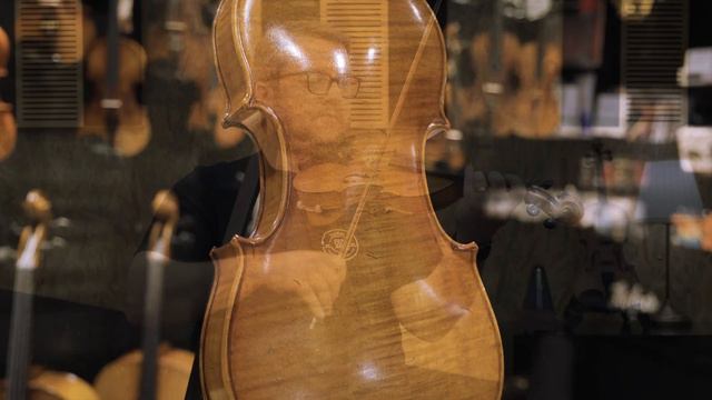 ANTON BRUCKNER - MAESTRO IX Keman (Pirastro Telli)