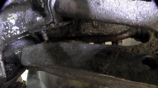 Жизнь в обновленной обстановке