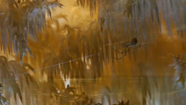 Арво Пярт  Моцарт - Адажио (трио)