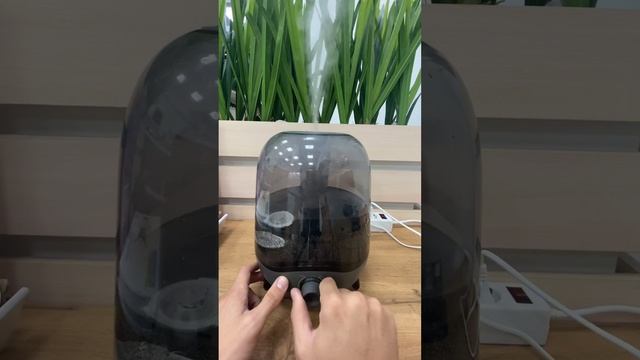 15 октября 2023 г.