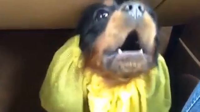 924b6ece3a465280a6c382f6cb181101