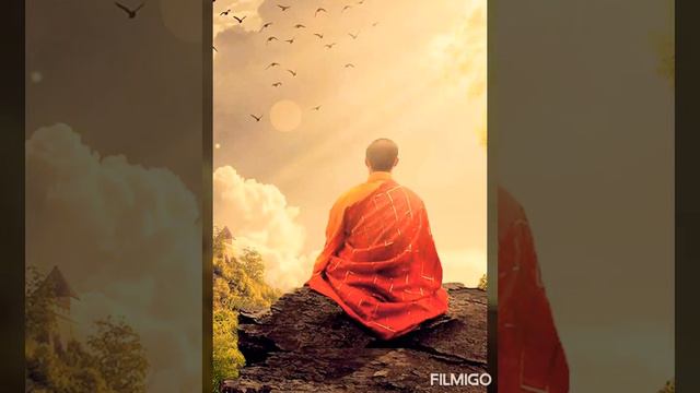 Siddhartha - Hermann Hesse #fiction #novel #philosophy  #sprituality ✨🌸