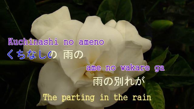 🆕くちなしの花 |EngSUB✅| Kuchinashi No Hana |Gardenia Jasminoides Flowers| AnAseanChap【 COVER 】in Japanese