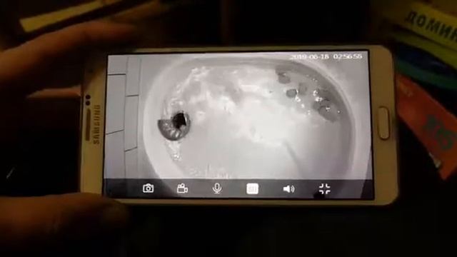 Автоматический кошачий туалет 