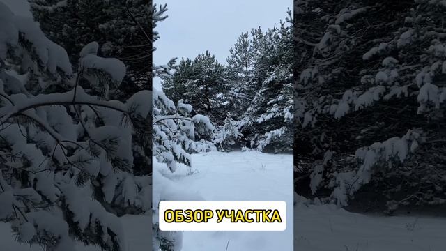 Frolovo