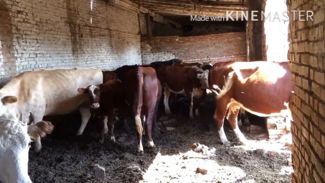 Поиски продолжаются