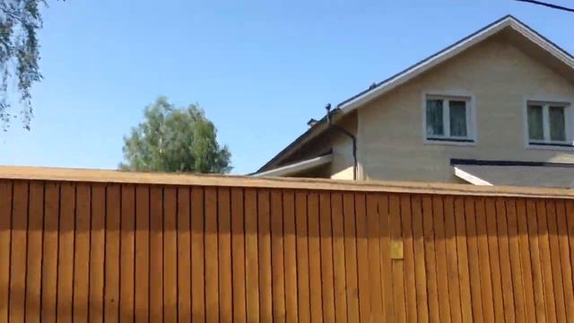 Влог в школе