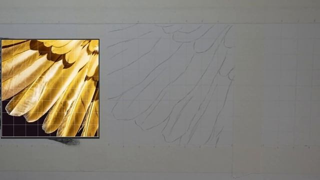 Tuto Dessin, Dessiner Des écailles Et Des Plumes