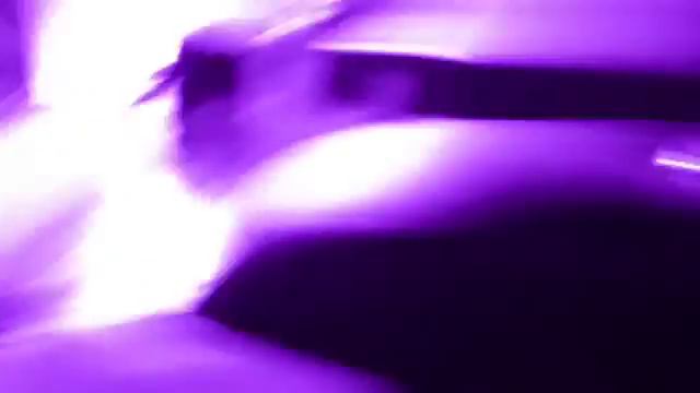 Мои животные