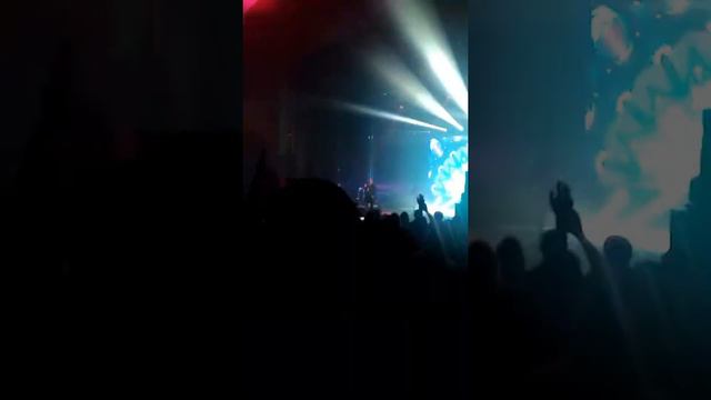 Спортивные истории