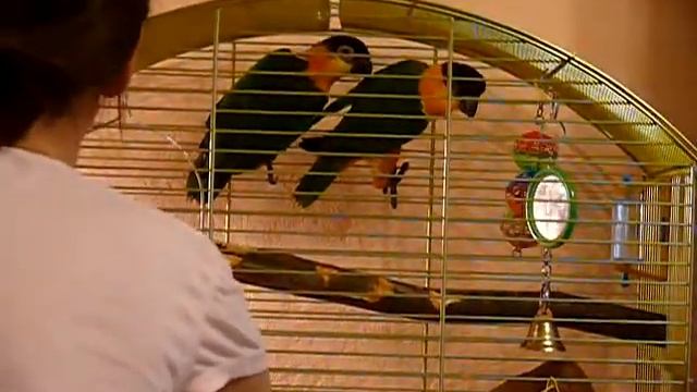 215146c8595ec7dec990924235a68fe6