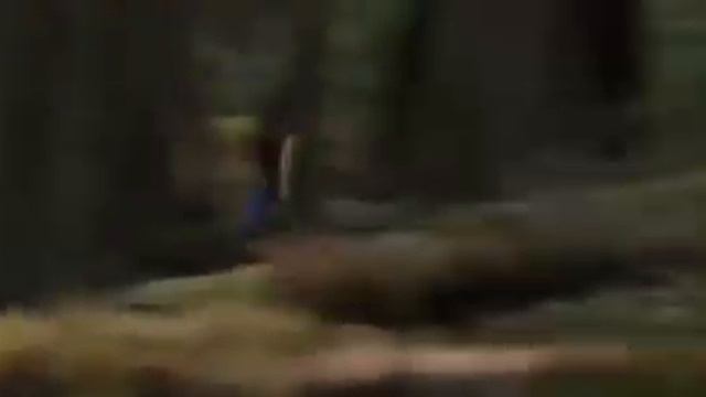 14a8ed945af6cedec7dc7f10833b855f