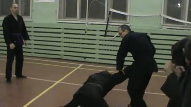 феникс джиу джитсу 6