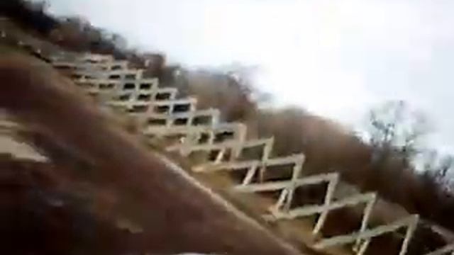 Wing Dragon 300Class With ATOM VCR-202