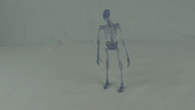 Indiana Jones - Crystal Skeleton (Mail-Away)