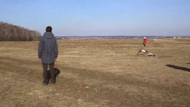 квалиф 09 04 17