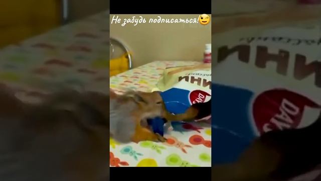 3ff98e52cab2297466fc063d0662293e