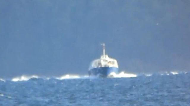 SONY DSC H400 ZOOM TEST FDF Martinque