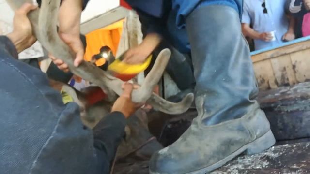 Мастерские Советы