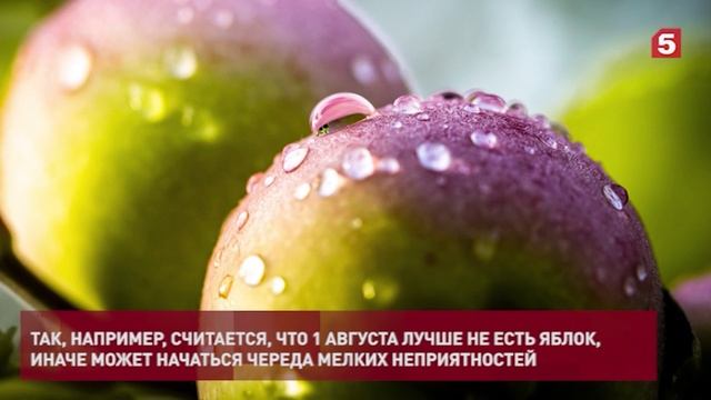 Пятый канал НОВОСТИ