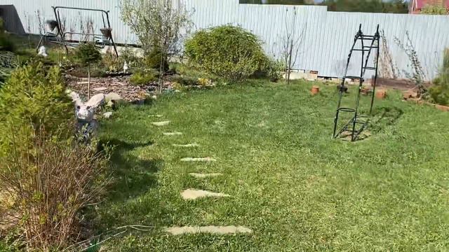 Продажа вегетативной петунии , калибрахоа , арка в саду